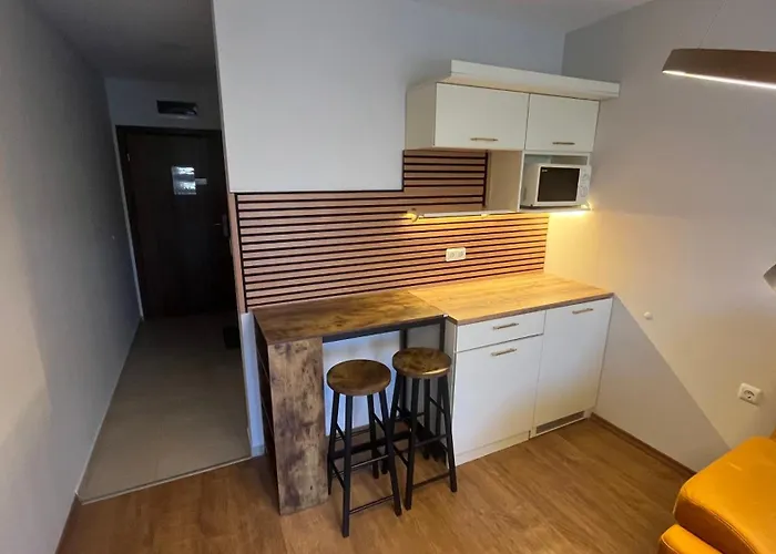 Premier Beach-luxury Studio-first Line Apartment *